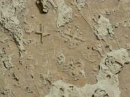 Тополі з panoramio.com