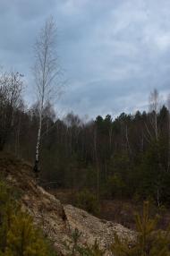 Грядки з panoramio.com