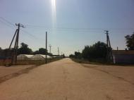 Дрофине з panoramio.com