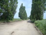 Черепова з panoramio.com