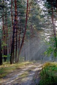 Металівка з panoramio.com