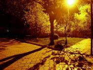 Острівок з panoramio.com