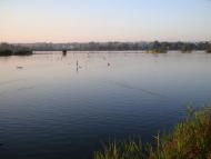 Тетіїв з panoramio.com