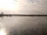 Гамаліївка з panoramio.com