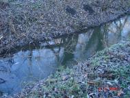 Добротимофіївка з panoramio.com