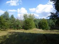 Мареничі з panoramio.com