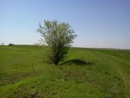 Великий Омеляник з panoramio.com