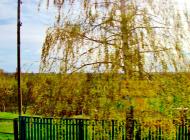 Лук'янівка з panoramio.com