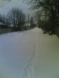 Дзержинське з panoramio.com