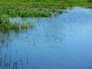 Гамаліївка з panoramio.com