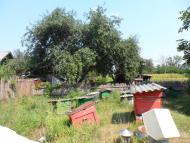 Василівка з panoramio.com