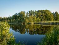 Бистре - Останні фото