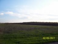 Стародубівка з panoramio.com