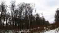 Ворочово з panoramio.com - Ворочево