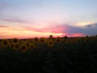 Нова Січ з panoramio.com