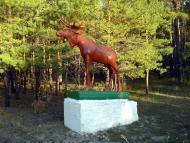 Дідковичі з panoramio.com