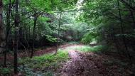 Букове з panoramio.com - Букове