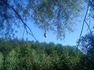 Вершаці з panoramio.com