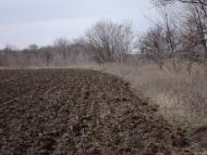 Коларівка з panoramio.com