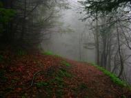 Карпатське з panoramio.com