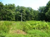 Дернівка з panoramio.com