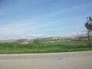 Мостове з panoramio.com