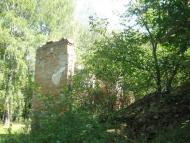 Сніжна з panoramio.com