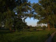 Жовтневе з panoramio.com