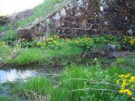 Назавизів з panoramio.com