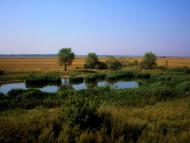 Кириківка з panoramio.com