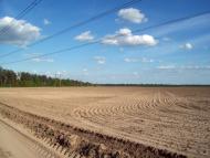 Тарасенки з panoramio.com - Тарасенки