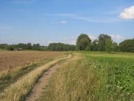 Клопіт з panoramio.com