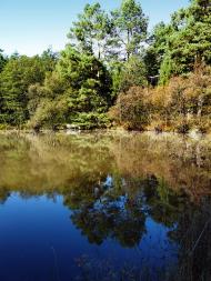 Городське з panoramio.com