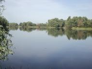 Дмитрівка з panoramio.com