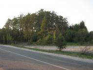 Забір'я з panoramio.com