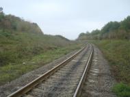 Буйволівці з panoramio.com