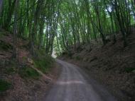 Лук'янівка - Останні фото