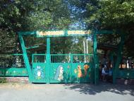 Каштанове з panoramio.com