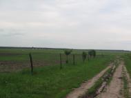 Рівнопілля з panoramio.com