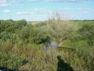 Зірка - Останні фото