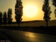 Полюшко з panoramio.com