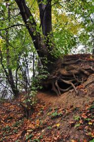 Підмонастир з panoramio.com