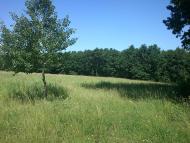 Бабче з panoramio.com