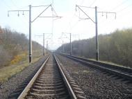 Рідкодуби з panoramio.com