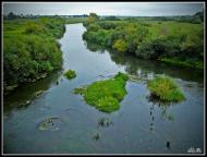 Олександрія з panoramio.com