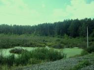 Савичі з panoramio.com