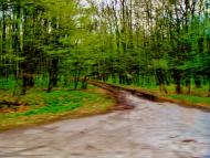 Лук'янівка з panoramio.com