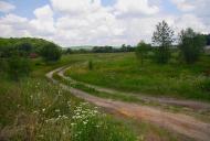 Чернеччина з panoramio.com