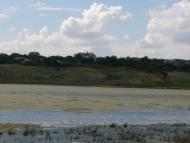 Пшонянове з panoramio.com