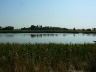 Новозлатопіль з panoramio.com